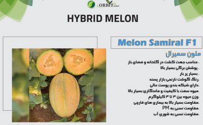 بذر ملون هیبرید سامیرال