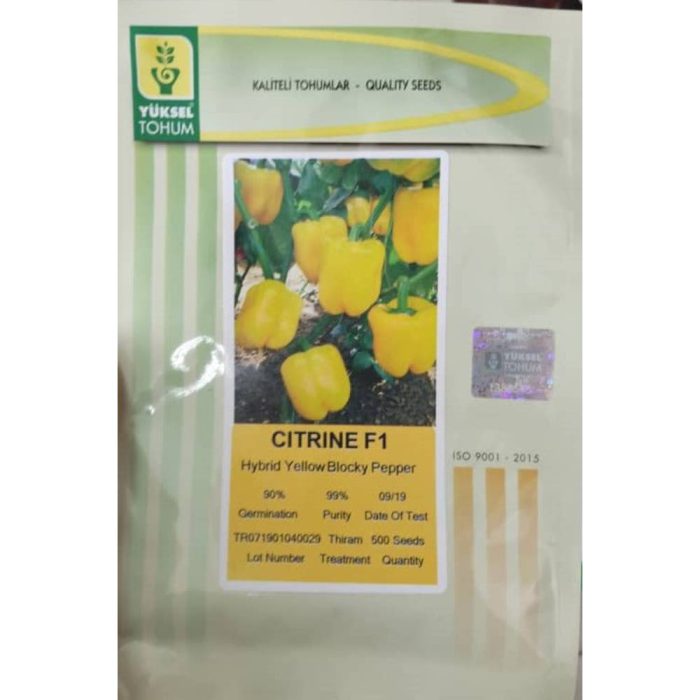 Seed- Capsicum- Citrine- F1 بذر فلفل دلمه سیترین F1