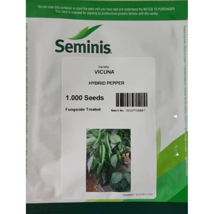 Seed - Pepper - Vicuna - Seminis بذر فلفل قلمی ویکونا سمینیس