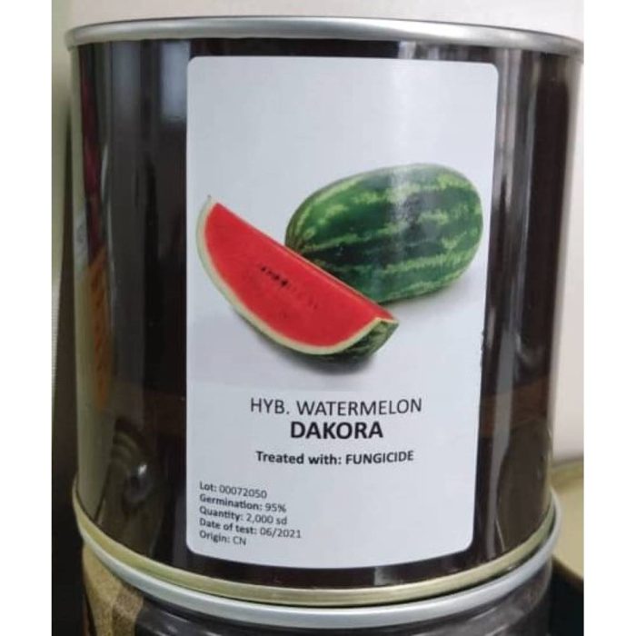 Seeds - Watermelon - Dakora بذر هندوانه داکورا