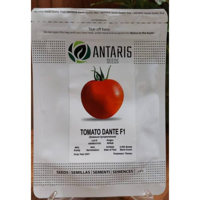 Seed-tomato-Dante بذر- گوجه فرنگی- دانته