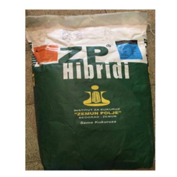 Seed - fodder corn - ZP 600 بذر ذرت علوفه ای ZP 600