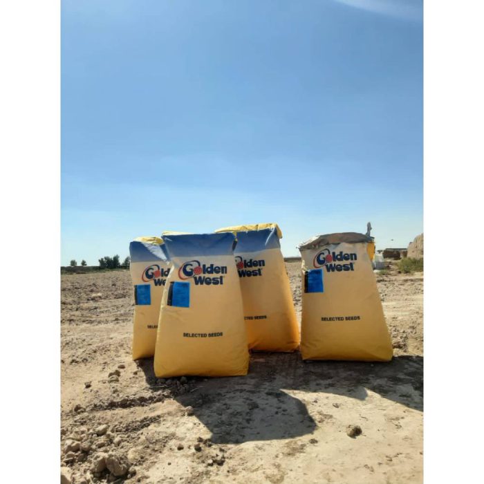 Seed-Cotton-Leader-Golden West بذر پنبه لیدر گلدن وست