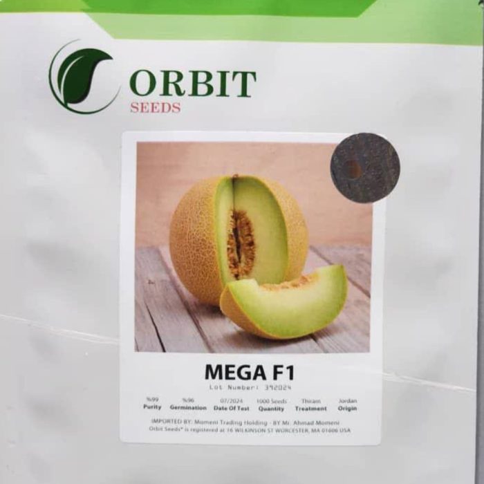 mega-melon-seeds بذر ملون مگا