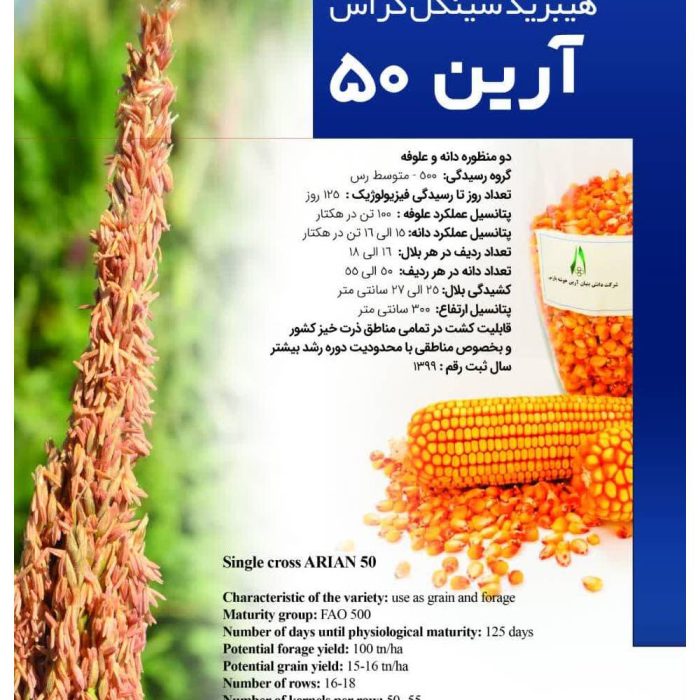 Seed - fodder corn - Arin - 50 بذر ذرت علوفه ای آرین 50