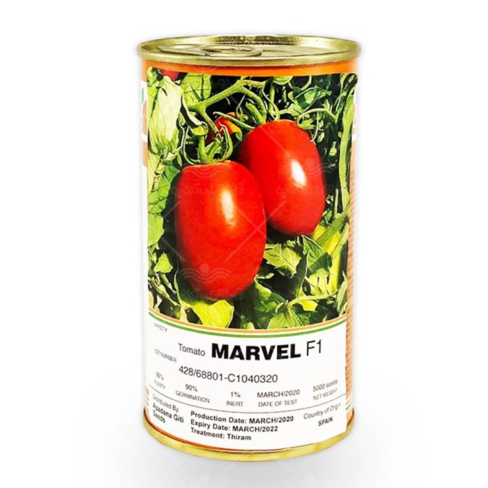 Seed - Tomato - Marvel - F1 - Spain بذر گوجه مارول F1 اسپانیا