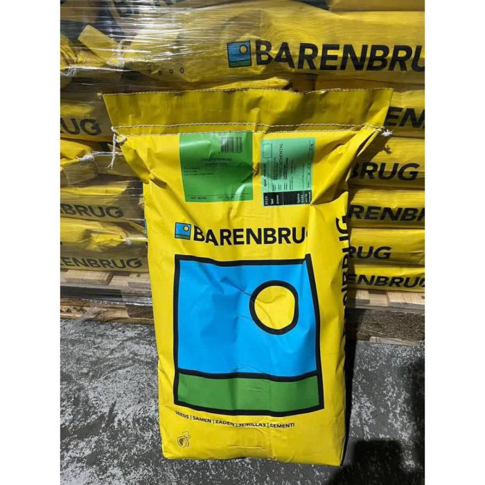 Seed - Grass - Bermudagrass - Barnbrugh بذر چمن برموداگراس بارنبروگ