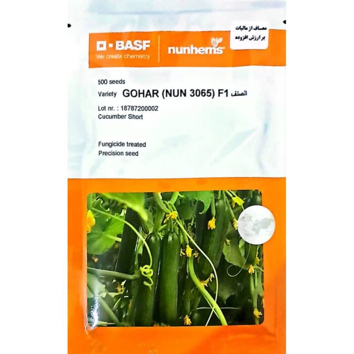 cucumber-seed-high-flowered-gohar بذر خیار گلخانه ای پرگل گوهر