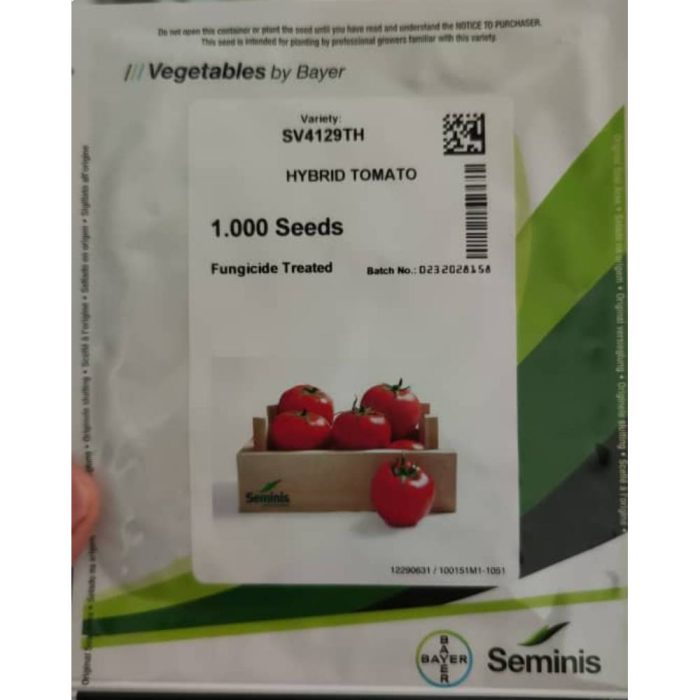 Seeds - Tomato - 4129 - (SV4129TH) - Seminis بذر گوجه 4129 (SV4129TH) سمینیس