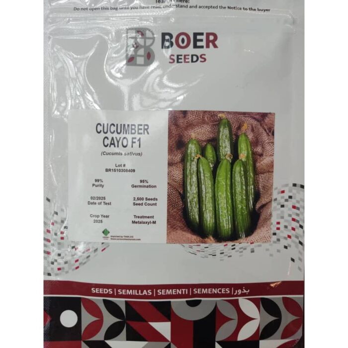 cucumber-seeds-of-the-dutch-cayo-boyer-hybrid بذر خیار هیبرید کایو بویر هلند