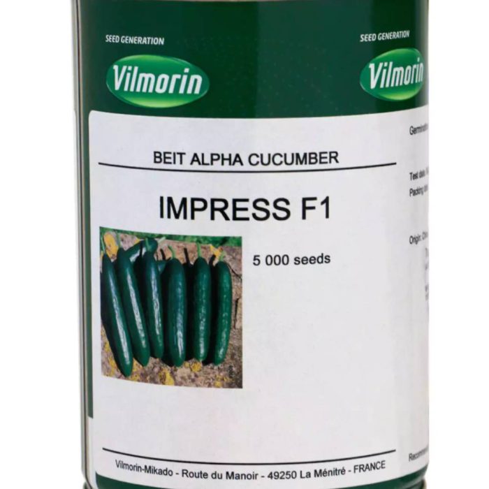 Seed - Cucumber - Impres - Vilmorin بذر خیار ایمپرس ویلمورین