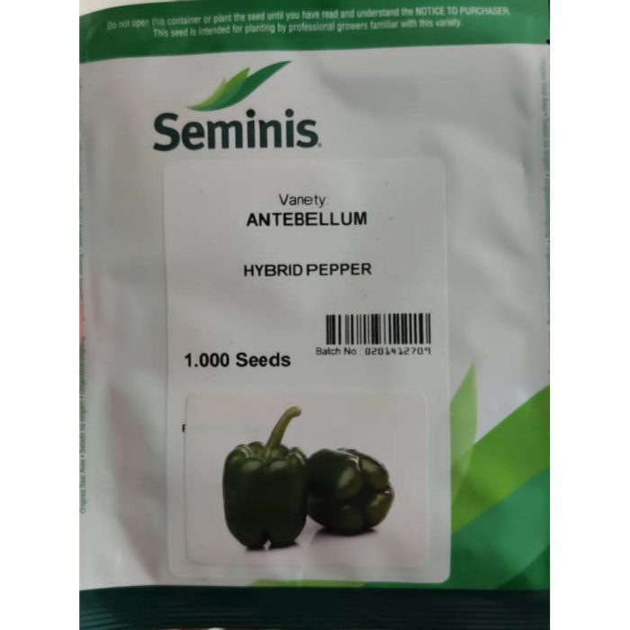 Seed-pepper-dole-enteblum-seminis بذر فلفل دلمه انتبلوم سمینیس