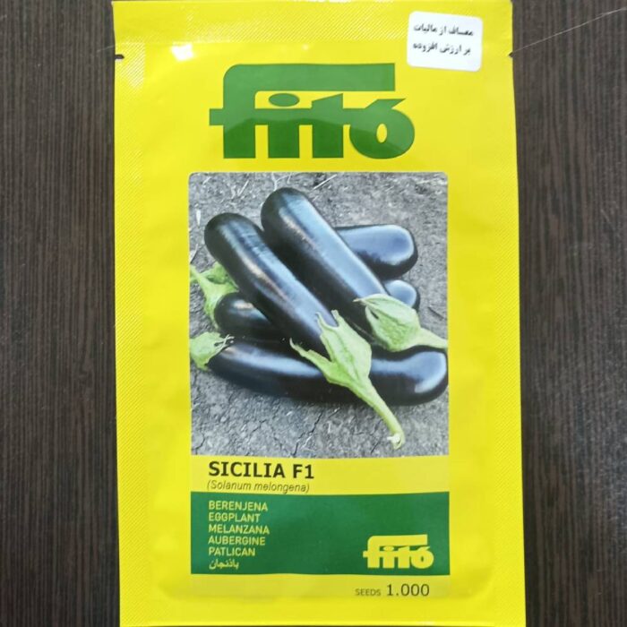 eggplant-seeds-cecilia-phyto بذر بادمجان سیسیلیا فیتو