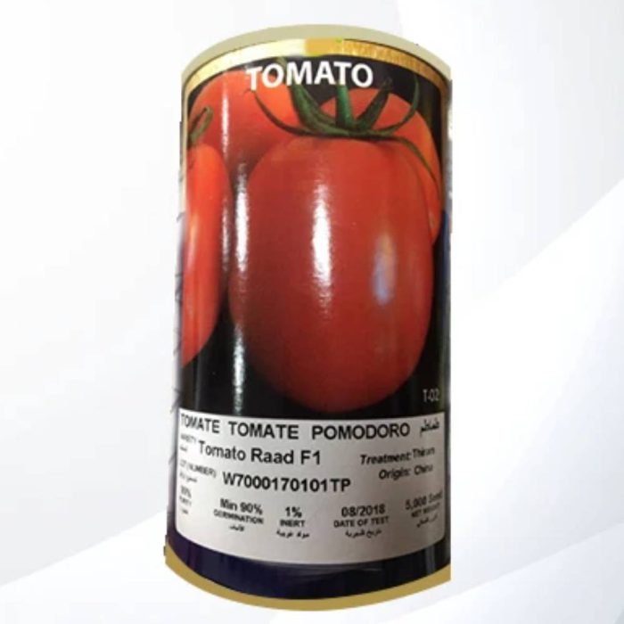 Seed-Tomato-Raad-Raad F1 بذر گوجه فرنگی رعد Raad F1