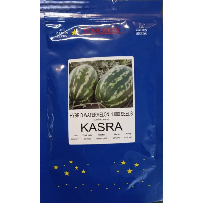 Seed- Watermelon- Kasra- Star Seeds بذر هندوانه کسری استار سیدز