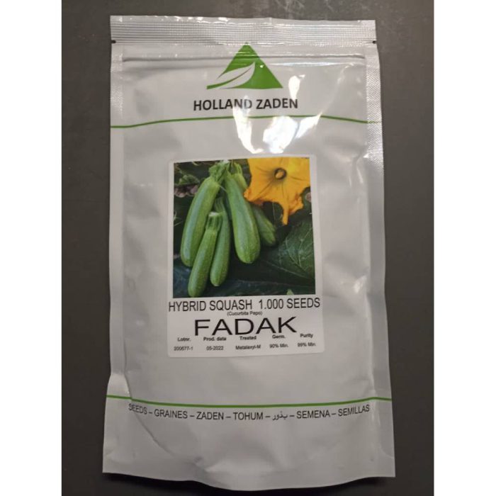 Seed - Pumpkin - Fadak - Holland Zaden - F1 بذر کدو فدک هلند زادن F1