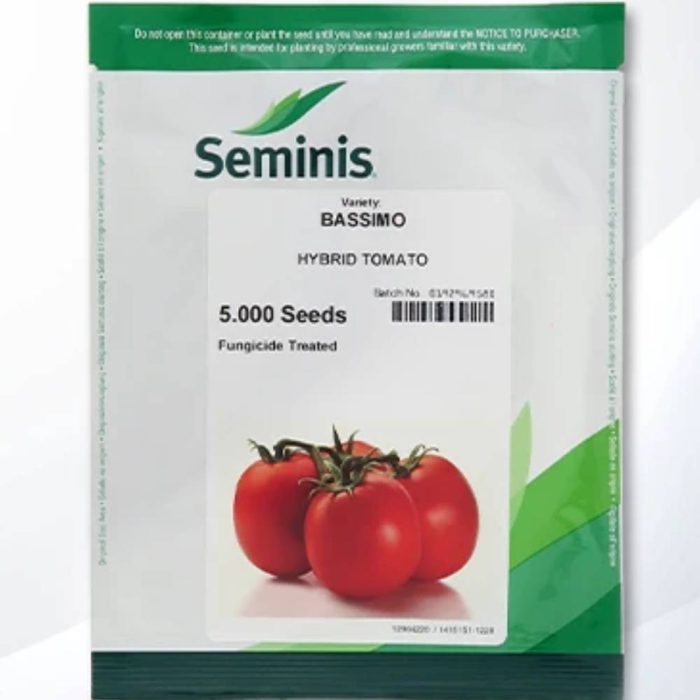 Seeds - Tomato - Bassimo - Seminis بذر گوجه فرنگی باسیمو سمینیس