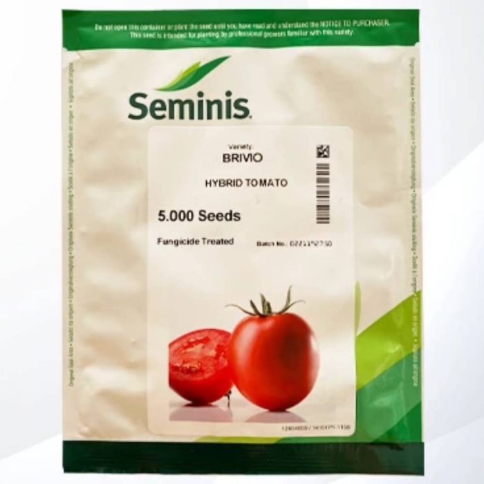 Seed-tomato-brio-seminis بذر گوجه فرنگی بریویو سمینیس