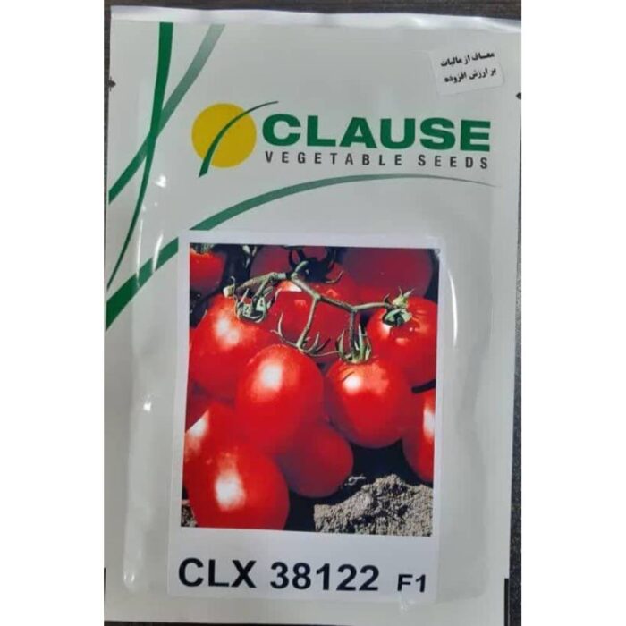 clx-38122-blocki-tomato-seeds بذر گوجه بلوکی سی ال ایکس 38122