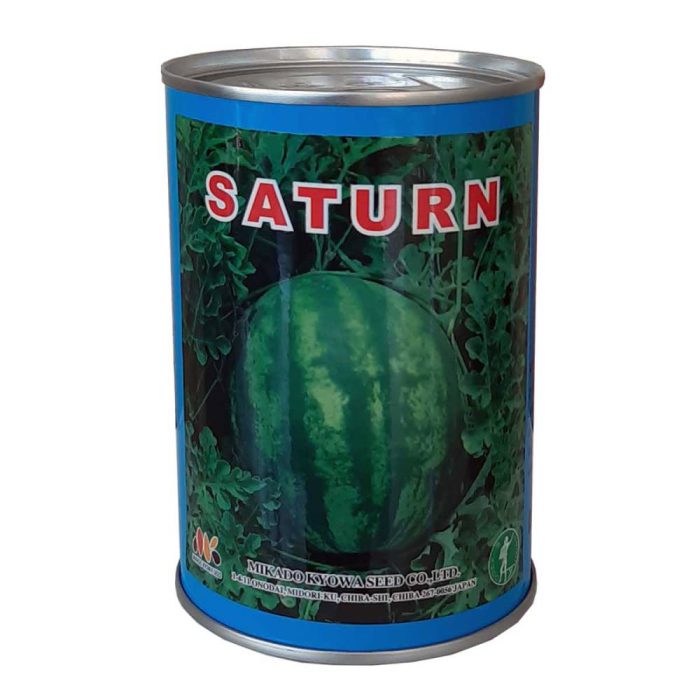 Seed- Watermelon- Mikado- Round- Saturn بذر- هندوانه- میکادو- گرد- ساترن