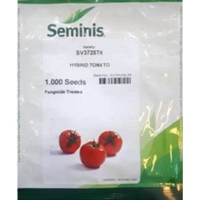 Seeds - Tomato - 3725 - Seminis بذر گوجه فرنگی 3725 سمینیس