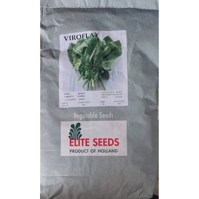 Spinach- seed- Virofly- Elite- Holland بذر اسفناج ویروفلای الیت هلند