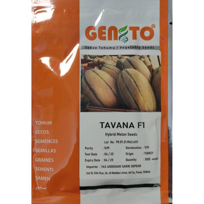 Gento- Tavana- melon- seed بذر ملون توانا جنتو