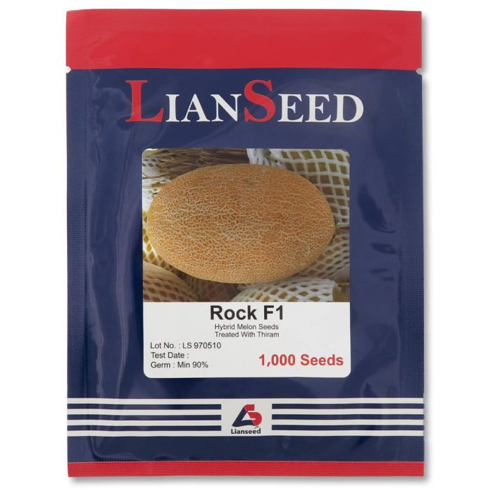 Pineapple- rock- F1- melon- seed بذر خربزه آناناسی راک F1