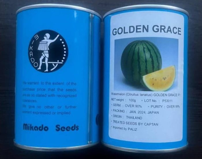 Watermelon- GOLDEN- GRACE- Mikado- Seed بذر هندوانه آناناسی گلدن گریس میکادو