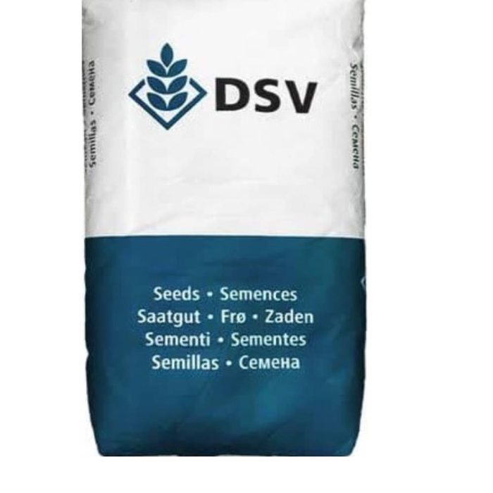 Lolium- perene- gras-s seed- DSV بذر چمن لولیوم پرنه DSV