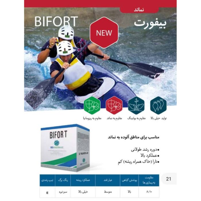 Beaufort- Belgium- sugar- beet- seed بذر چغندر قند بیفورت بلژیک