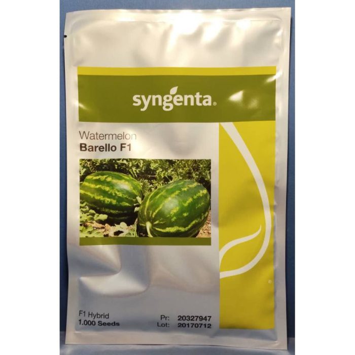 Barello Syngenta watermelon seeds بذر هندوانه بارلو سینجنتا