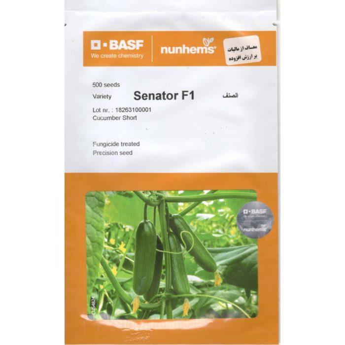 Mini Senator Cucumber Seeds بذر خیار مینی سناتور