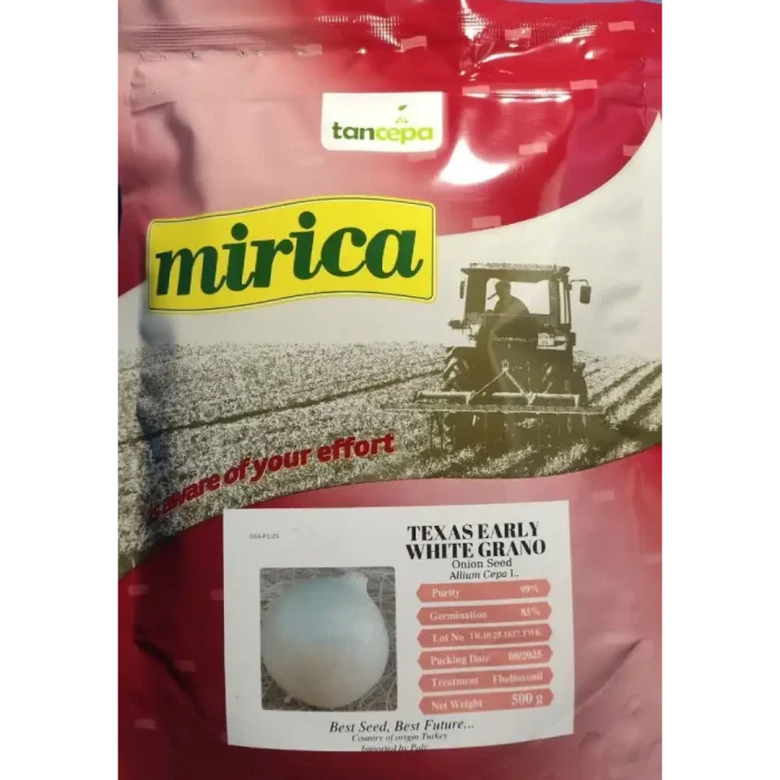 Texas Early Grano White Onion Seeds tansepa بذر پیاز سفید تگزاس آرلی گرانو تن سپا
