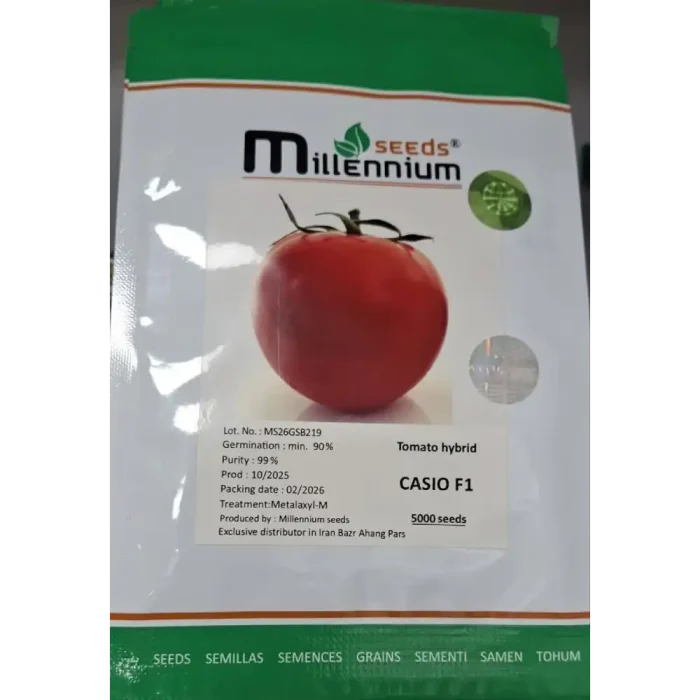 Cassio Millennium Seed Tomato Seeds بذر گوجه کاسیو میلنیوم سید