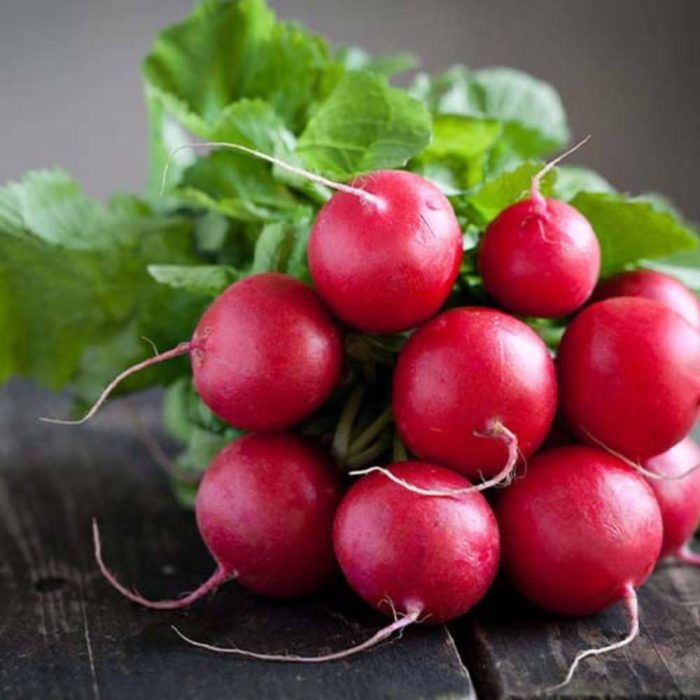 بذر تربچه نقلی قرمز فله