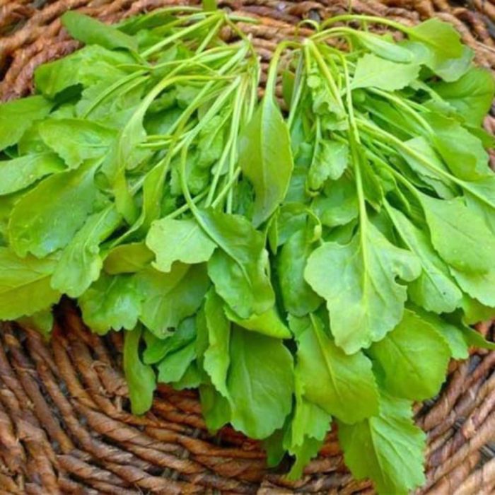 بذر شاهی فله