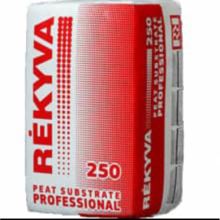 پیت ماس- رکیوا