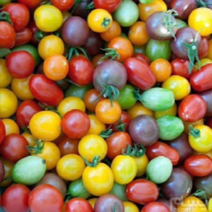 گوجه چری میکس