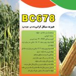 ذرت علوفه ای- BC 678
