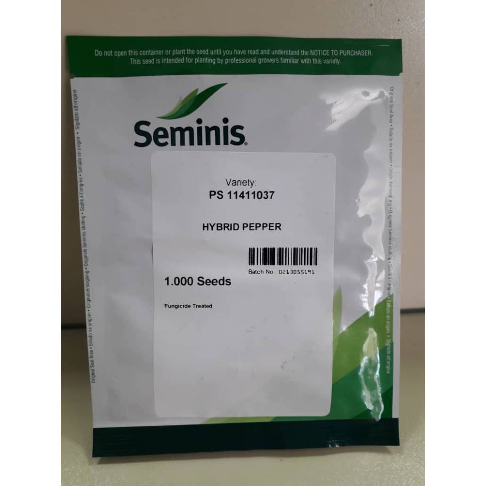 بذر فلفل هالوپینو سمنیس