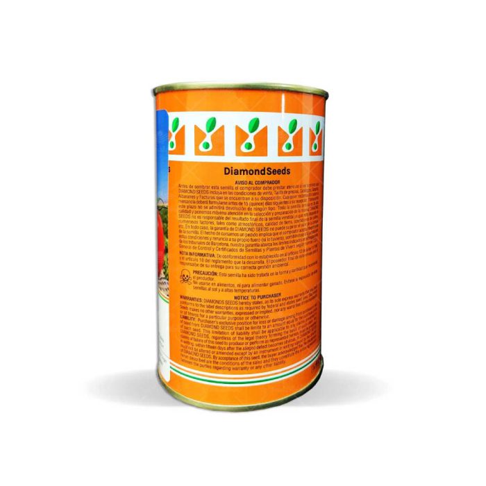 بذر گوجه فرنگی هیبرید تیوا F1