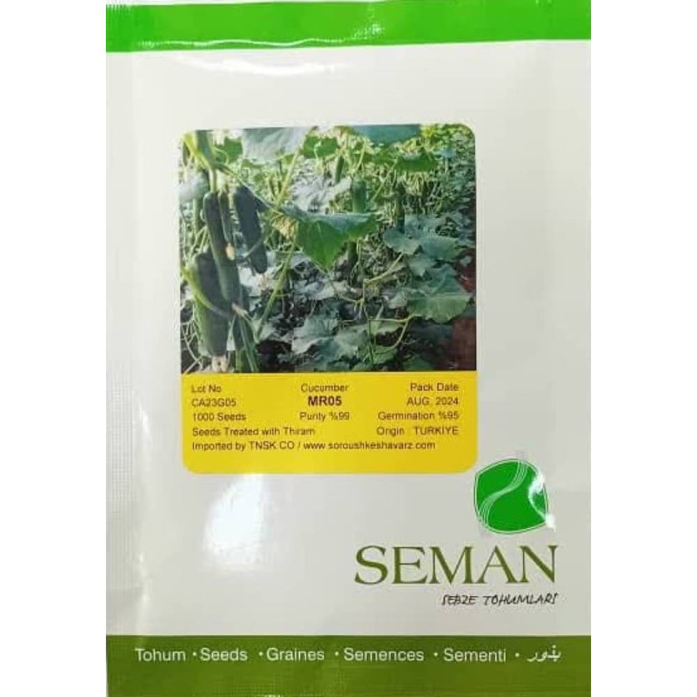بذر خیار هیبرید گلخانه ای MR 05