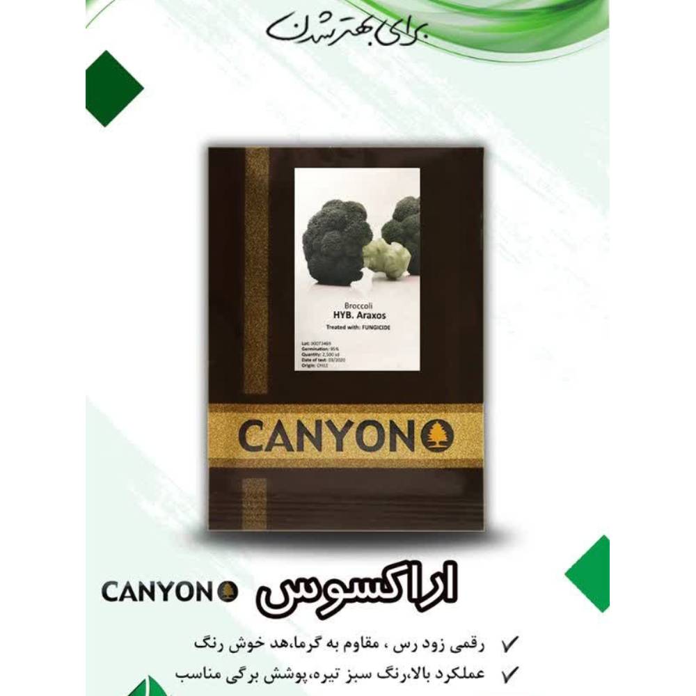 کلم بروکلی آراکسوس کانیون