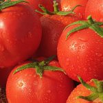 گوجه فرنگی هیبرید تیوا F1