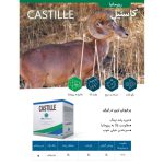 بذر چغندر قند کاستیل بلژیک