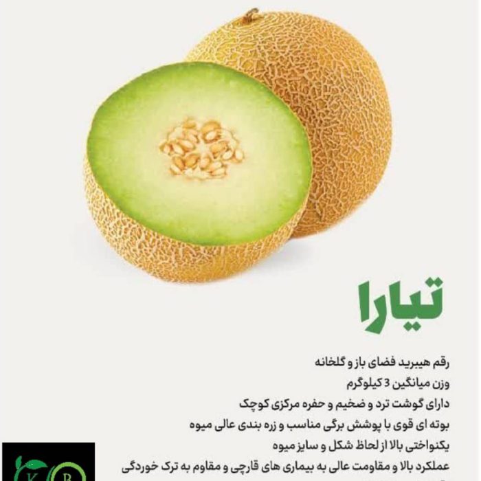 ملون هیبرید تیارا F1