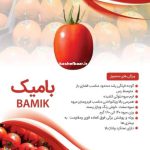 گوجه فرنگی هیبرید بامیک