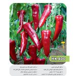 بذر فلفل کاپی قرمز شیرین HK400
