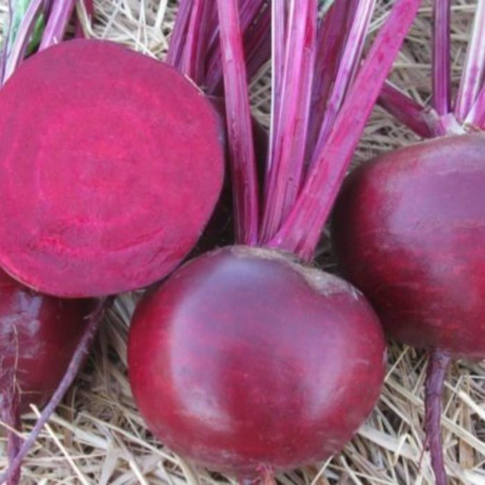 چغندر لبویی گریفاتون فرانسه